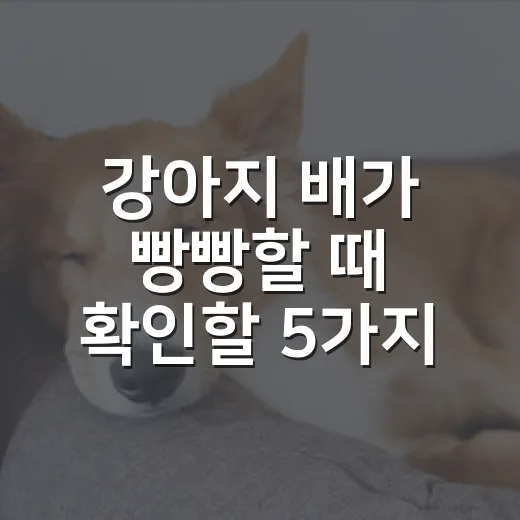 강아지 배가 빵빵할 때 확인할 5가지 신호 - 요약