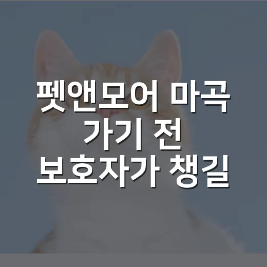 펫앤모어 마곡 가기 전 보호자가 챙길 5가지 기준 - 요약