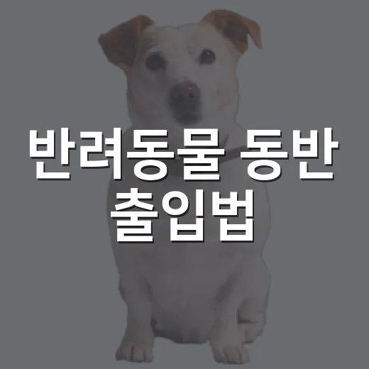 반려동물 동반 출입법, 보호자가 먼저 챙길 5가지 기준 - 요약