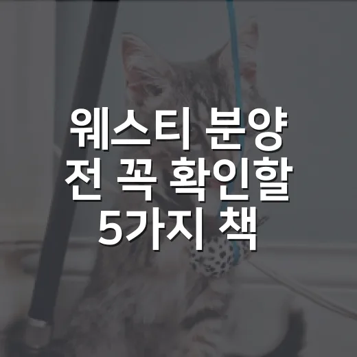 웨스티 분양 전 꼭 확인할 5가지 책임 체크 - 요약