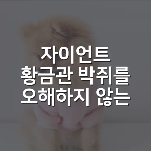 자이언트 황금관 박쥐를 오해하지 않는 5가지 숫자 - 요약