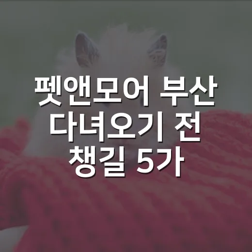 펫앤모어 부산 다녀오기 전 챙길 5가지 기준 - 요약