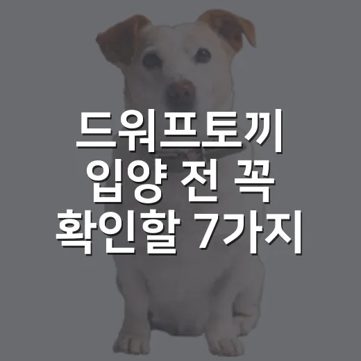 드워프토끼 입양 전 꼭 확인할 7가지 현실 체크 - 요약