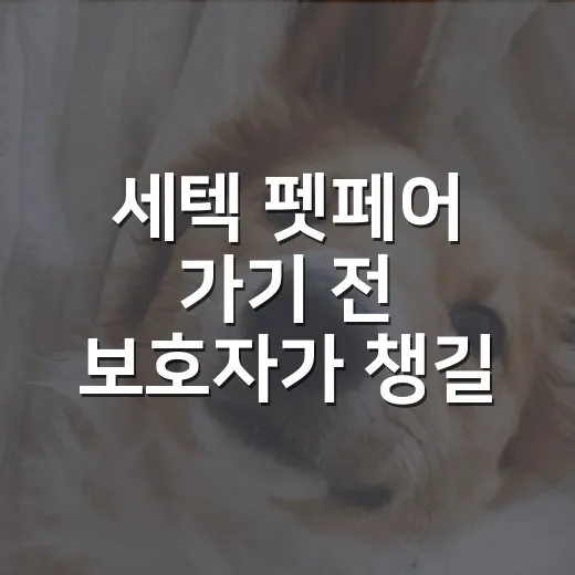 세텍 펫페어 가기 전 보호자가 챙길 7가지 - 요약