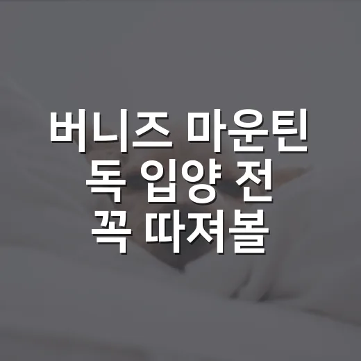 버니즈 마운틴 독 입양 전 꼭 따져볼 5가지 현실 - 요약