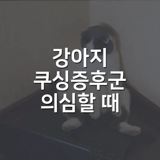강아지 쿠싱증후군 의심할 때 보는 5가지 신호와 병원에서 확인할 것 - 요약