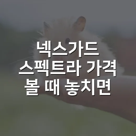 넥스가드 스펙트라 가격 볼 때 놓치면 안 되는 5가지 - 요약