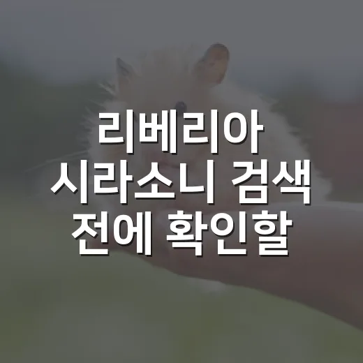 리베리아 시라소니 검색 전에 확인할 5가지 사실 - 요약