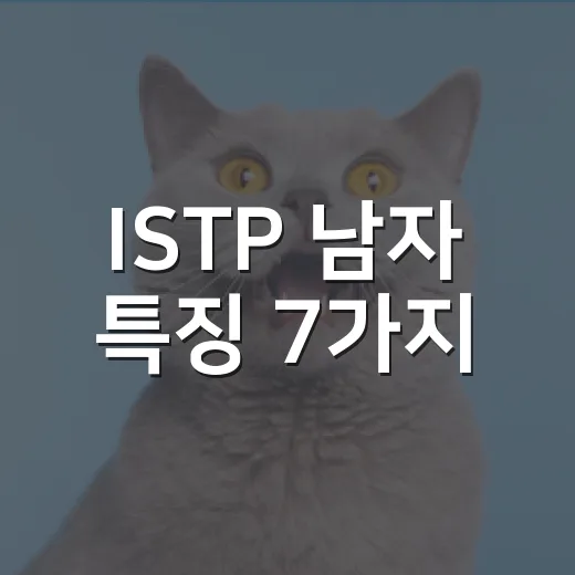 ISTP 남자 특징 7가지, 가까워질 때 보이는 진짜 모습 - 요약