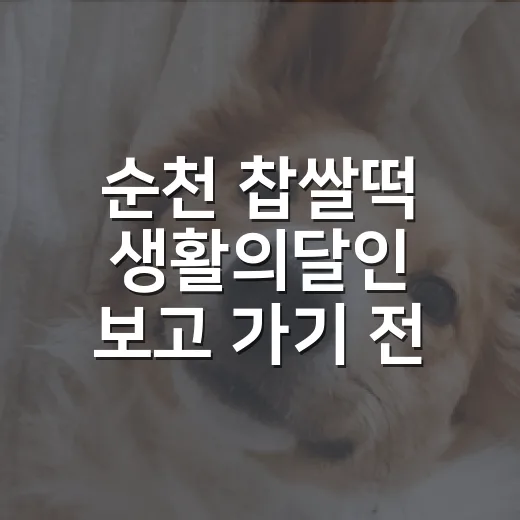 순천 찹쌀떡 생활의달인 보고 가기 전 챙길 5가지 - 요약