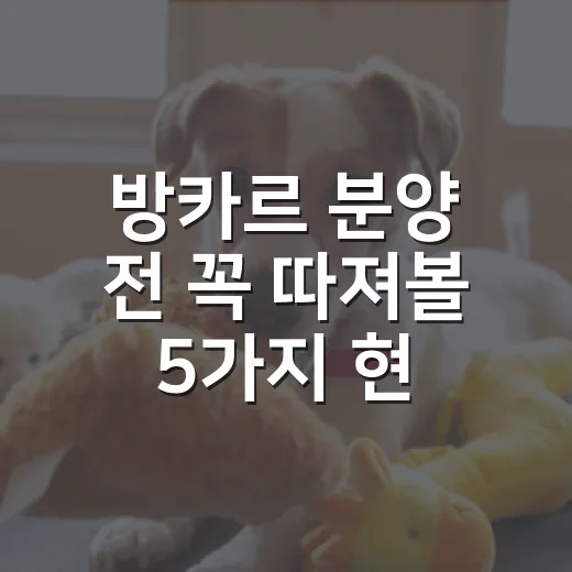 방카르 분양 전 꼭 따져볼 5가지 현실 조건 - 요약