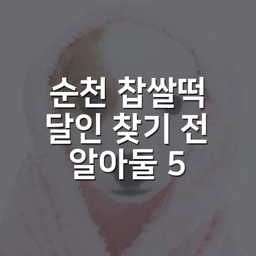순천 찹쌀떡 달인 찾기 전 알아둘 5가지, 보호소 봉사자가 본 현실 팁 - 요약