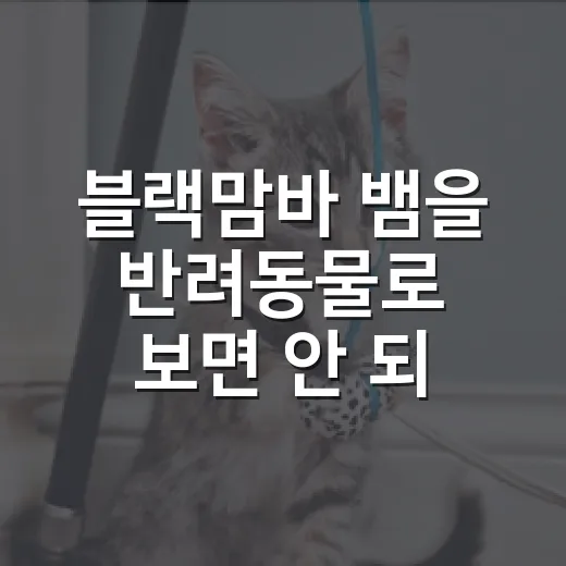 블랙맘바 뱀을 반려동물로 보면 안 되는 5가지 이유 - 요약