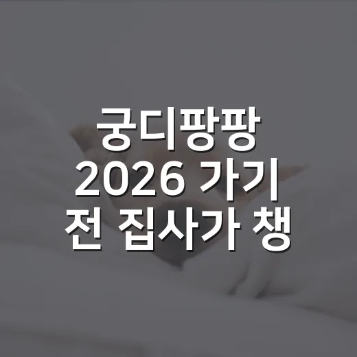 궁디팡팡 2026 가기 전 집사가 챙길 6가지 - 요약
