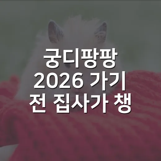 궁디팡팡 2026 가기 전 집사가 챙길 6가지 - 요약