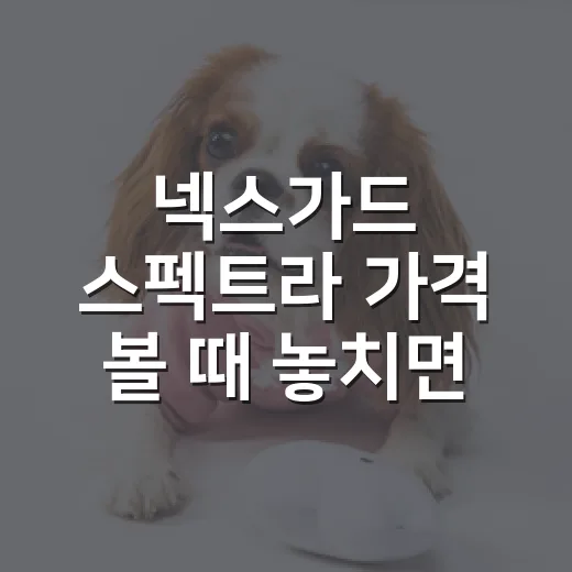 넥스가드 스펙트라 가격 볼 때 놓치면 안 되는 5가지 - 요약