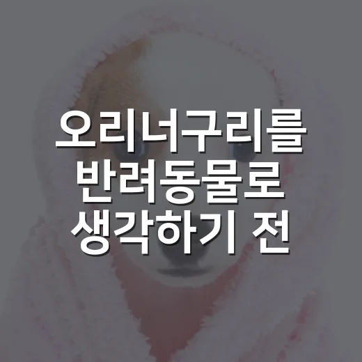 오리너구리를 반려동물로 생각하기 전 알아야 할 5가지 - 요약