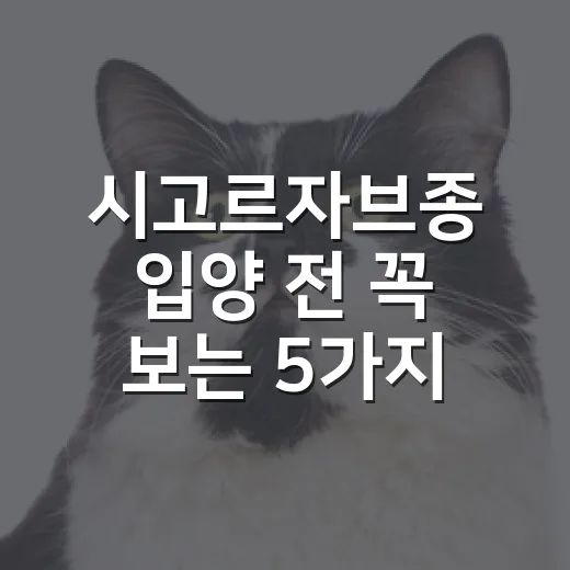 시고르자브종 입양 전 꼭 보는 5가지 현실 체크 - 요약