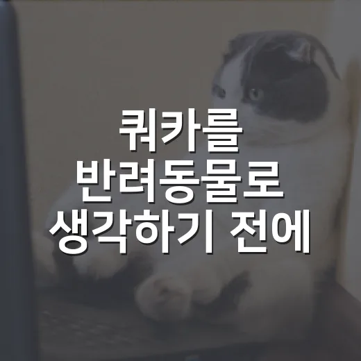 쿼카를 반려동물로 생각하기 전에 알아야 할 5가지 - 요약
