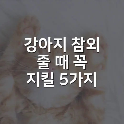 강아지 참외 줄 때 꼭 지킬 5가지 기준 - 요약