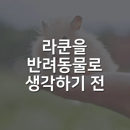 라쿤을 반려동물로 생각하기 전 확인할 7가지 현실 - 요약