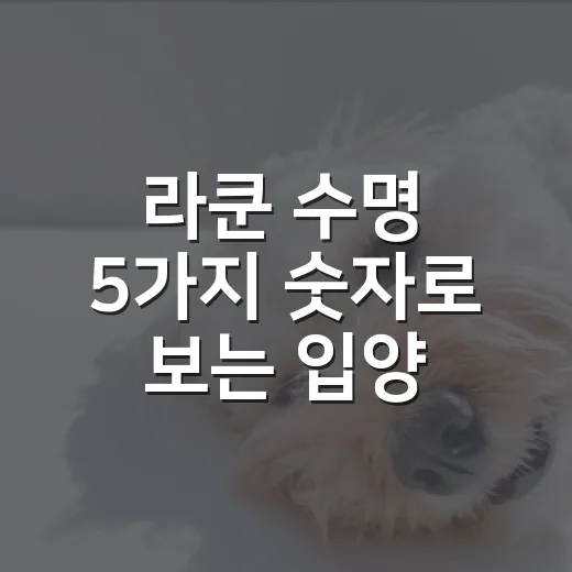 라쿤 수명 5가지 숫자로 보는 입양 전 현실 체크 - 요약