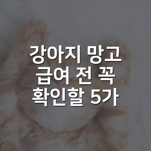 강아지 망고 급여 전 꼭 확인할 5가지 기준 - 요약