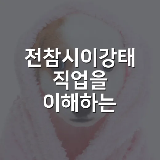 전참시이강태 직업을 이해하는 4가지 포인트 - 요약