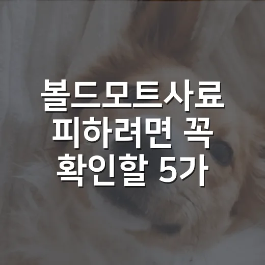 볼드모트사료 피하려면 꼭 확인할 5가지 숫자 - 요약