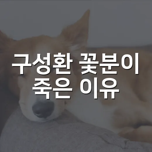 구성환 꽃분이 죽은 이유, 공개된 사실 4가지와 보호자가 봐야 할 신호 - 요약