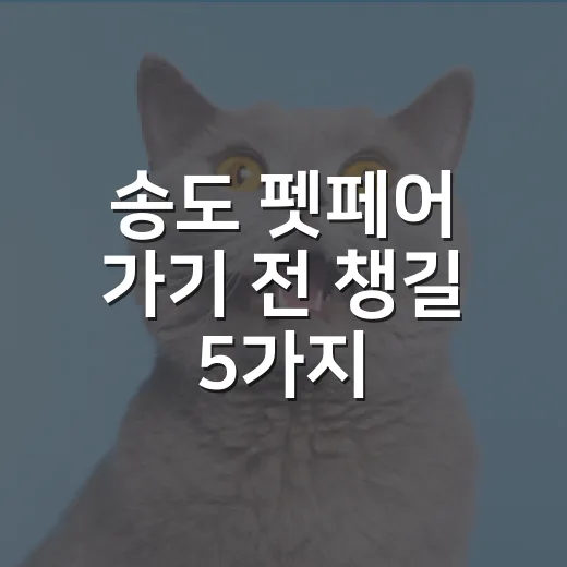 송도 펫페어 가기 전 챙길 5가지: 사료·간식·동반입장 기준 - 요약