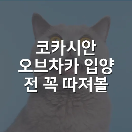 코카시안 오브차카 입양 전 꼭 따져볼 5가지 현실 - 요약