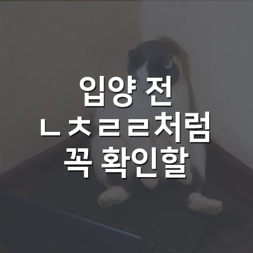 입양 전 ㄴㅊㄹㄹ처럼 꼭 확인할 5가지 책임 체크 - 요약