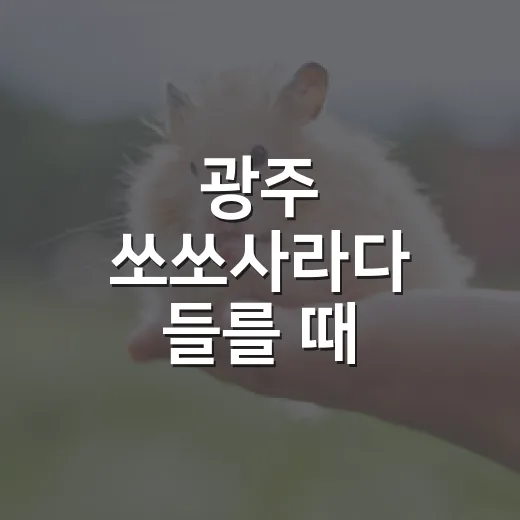 광주 쏘쏘사라다 들를 때 반려인이 챙길 5가지 기준 - 요약