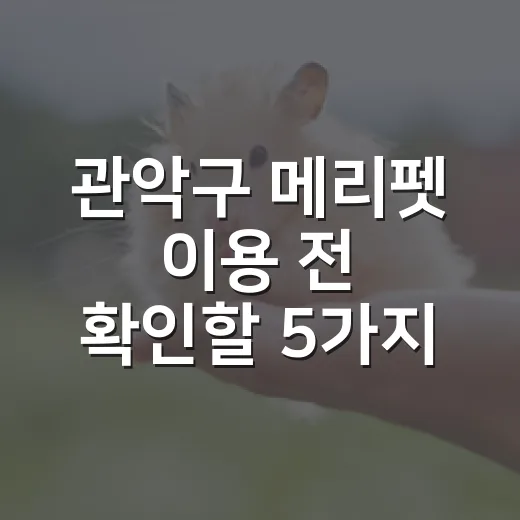관악구 메리펫 이용 전 확인할 5가지 기준 - 요약