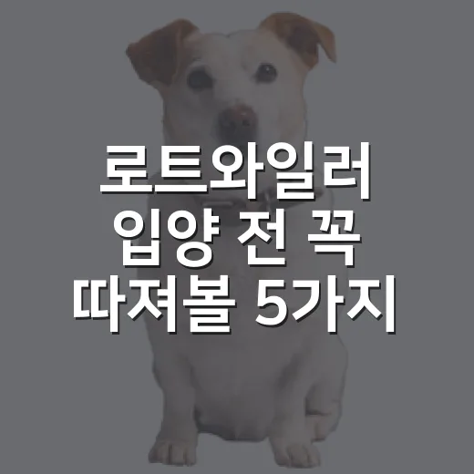 로트와일러 입양 전 꼭 따져볼 5가지 현실 - 요약