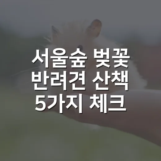 서울숲 벚꽃 반려견 산책 5가지 체크포인트 - 요약