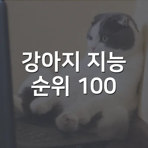 강아지 지능 순위 100, 입양 전에 꼭 알아야 할 4가지 - 요약