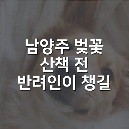 남양주 벚꽃 산책 전 반려인이 챙길 5가지 - 요약