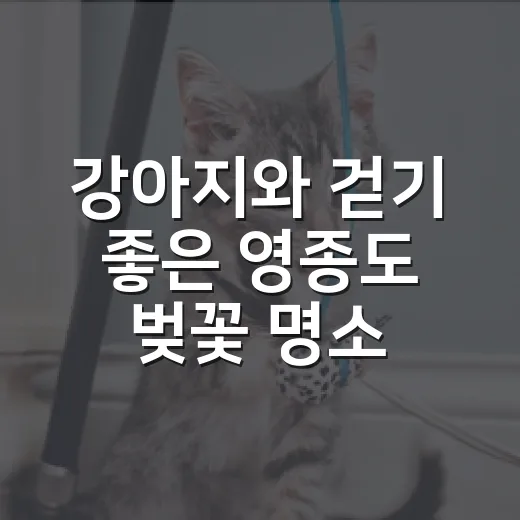 강아지와 걷기 좋은 영종도 벚꽃 명소 5곳 - 요약