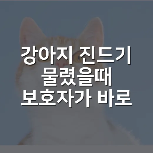 강아지 진드기 물렸을때 보호자가 바로 할 5가지 - 요약