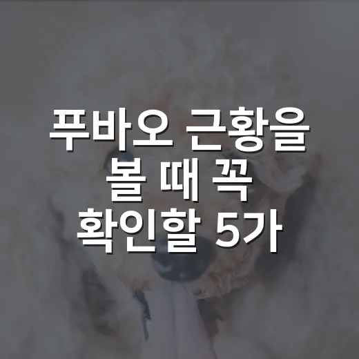 푸바오 근황을 볼 때 꼭 확인할 5가지 숫자 - 요약