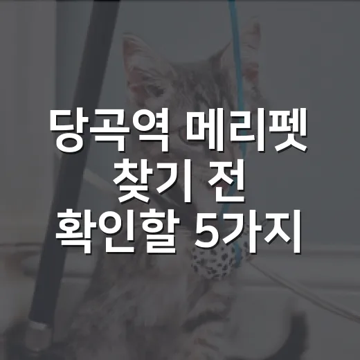 당곡역 메리펫 찾기 전 확인할 5가지 현실 기준 - 요약