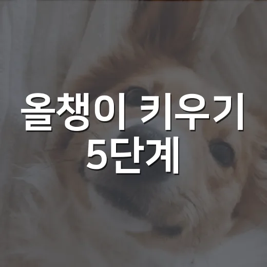 올챙이 키우기 5단계, 데려오기 전 꼭 볼 것들 - 요약