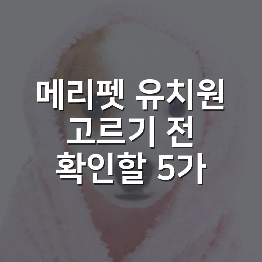 메리펫 유치원 고르기 전 확인할 5가지 기준 - 요약