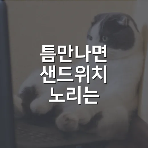틈만나면 샌드위치 노리는 반려견을 위한 5가지 대처법 - 요약