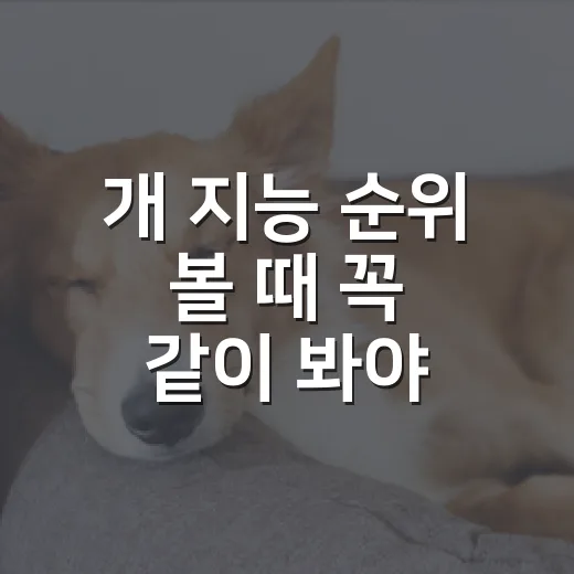 개 지능 순위 볼 때 꼭 같이 봐야 할 5가지 - 요약