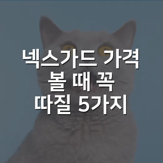 넥스가드 가격 볼 때 꼭 따질 5가지 기준 - 요약