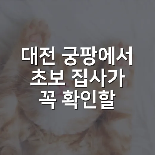 대전 궁팡에서 초보 집사가 꼭 확인할 5가지 - 요약