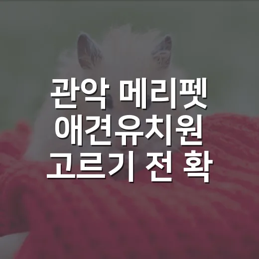 관악 메리펫 애견유치원 고르기 전 확인할 7가지 기준 - 요약